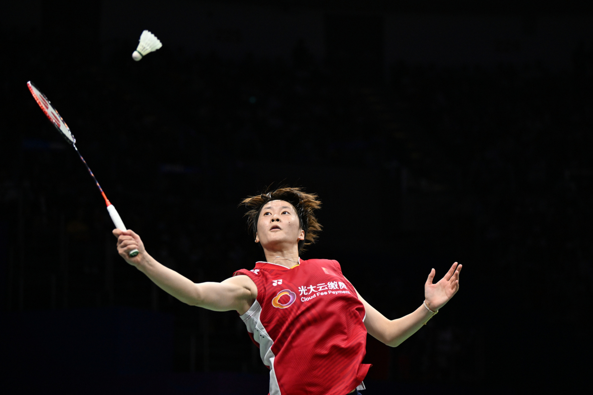 日本羽毛球队完胜韩国羽毛球队，马琳关键制胜的简单介绍