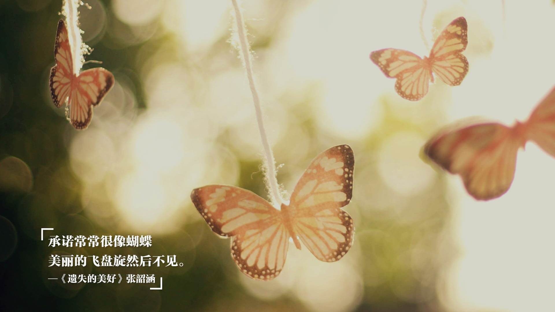 开云体育-意甲焦点战之夜，迪马利亚的独奏乐章