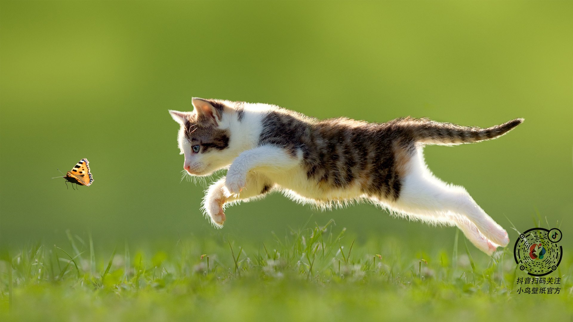 开云体育官网-史诗夜，无人孤岛到奥运航灯，利拉德凭何一剑封喉救赎自我？