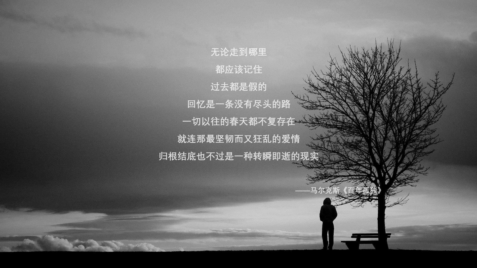 F1新赛季揭幕战焦点，奥地利车队碾压塞内加尔新秀，揭幕战上演实力悬殊对决