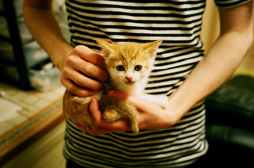 开云下载-锡安35分赛季新高+关键封盖！黄蜂力克灰熊终结三连败