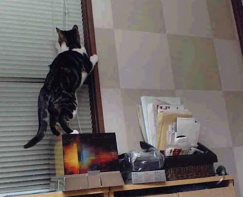 开云体育-班凯罗领衔攻防革命，开拓者爆冷击败76人启示录