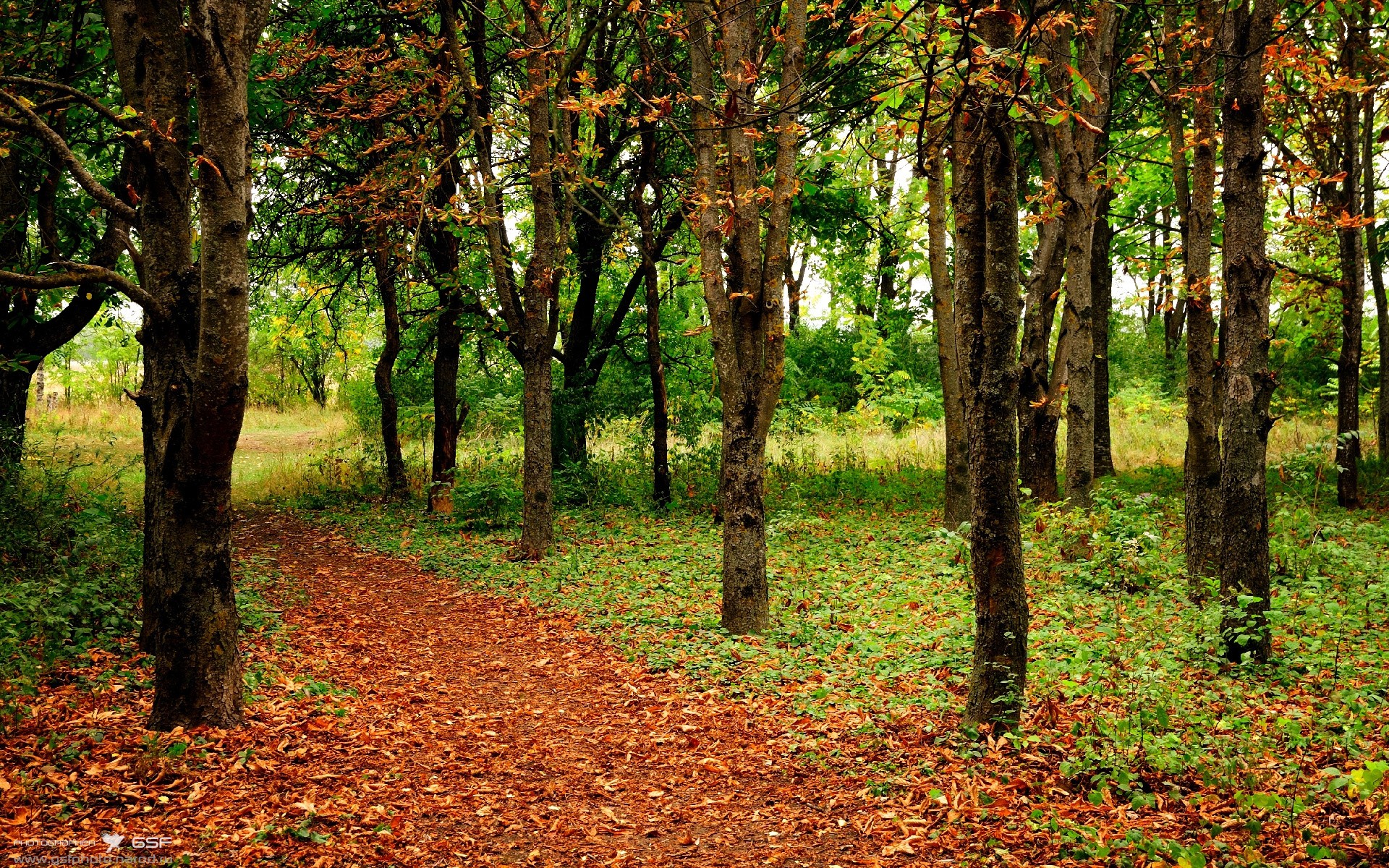 开云体育在线-当拉什福德的狂想曲撞上西班牙的冰冷矩阵，足球世界的激情与秩序之战