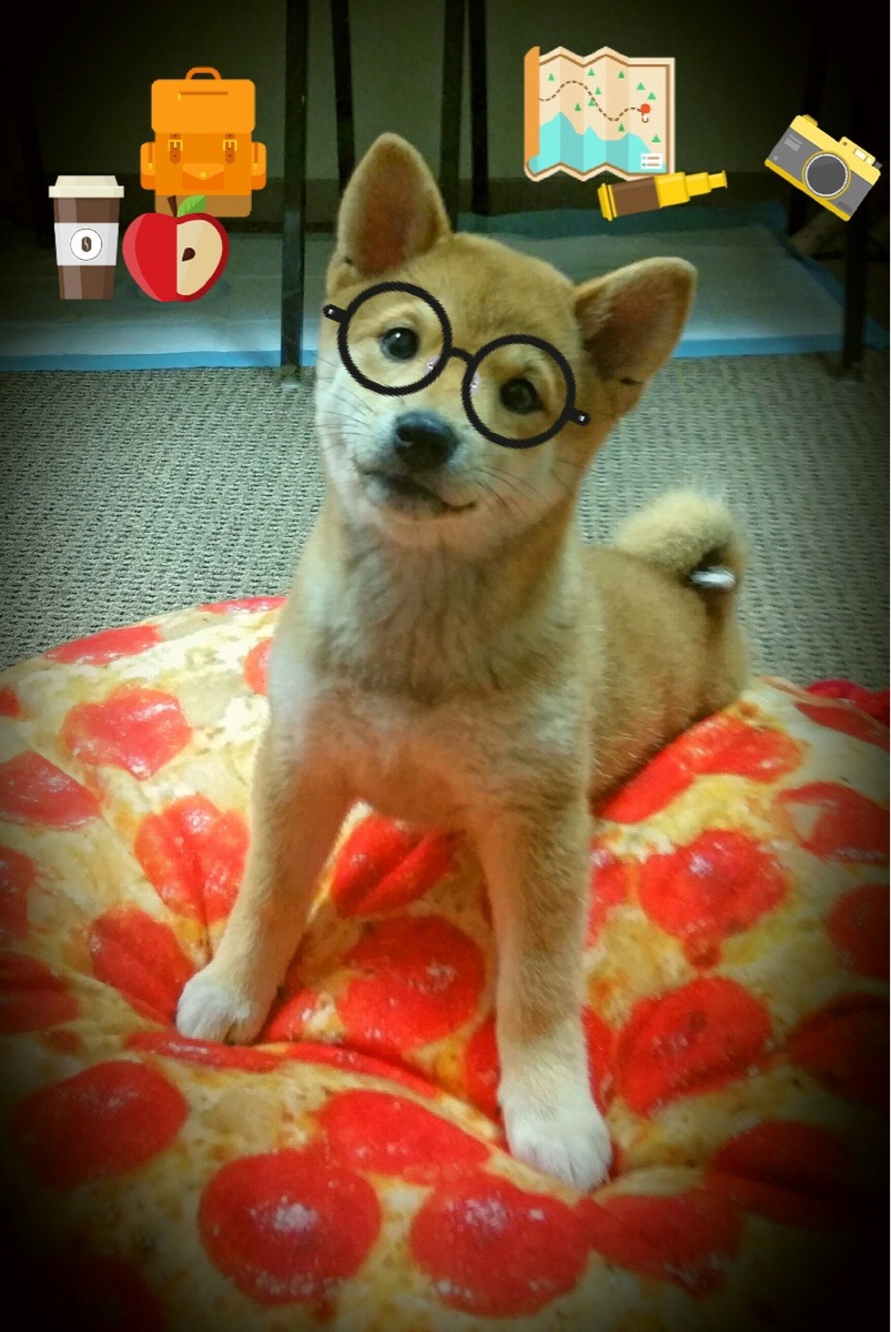 后防指挥官！德里赫特用交响乐般掌控力主导意甲焦点战