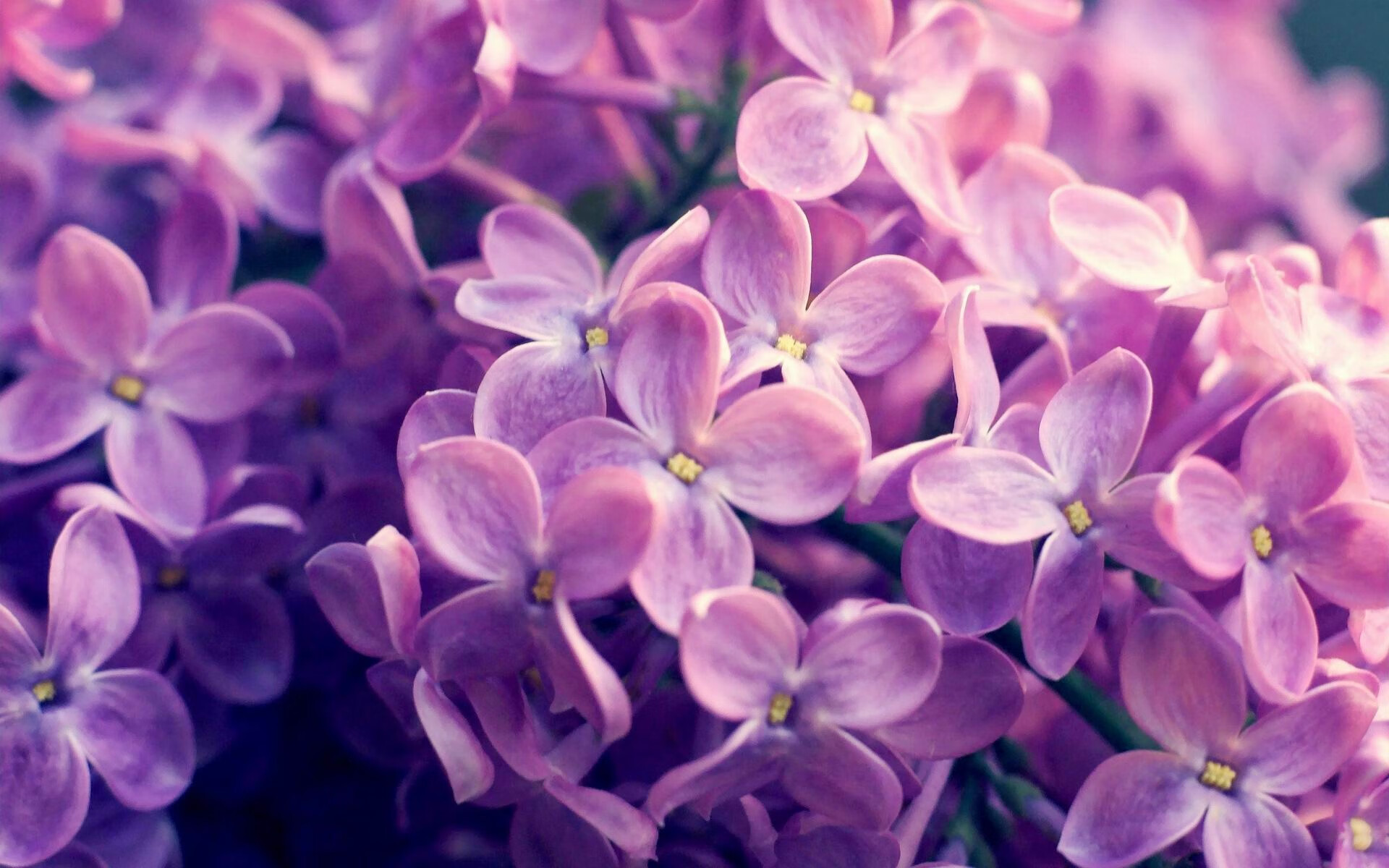 开云体育-破壁交融，从伊比利亚到天山脚下，德比战火的双城记