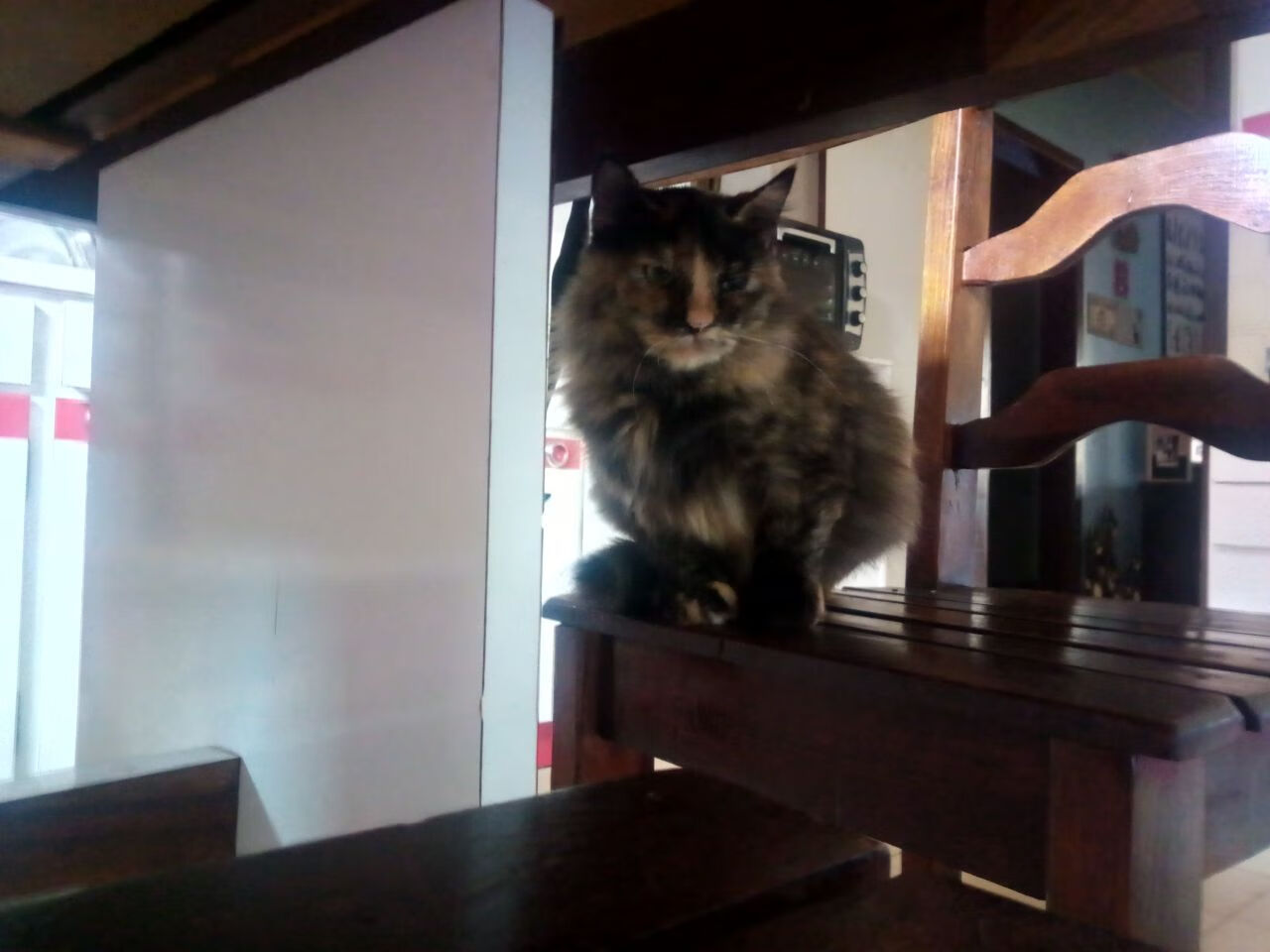 开云官网-意甲焦点战，血脉里的南美硝烟，当乌拉圭的基因粉碎法国