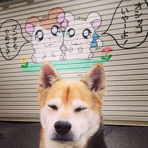 -森林狼对阵魔术，马克西成为胜负手，改写比赛走向的关键先生