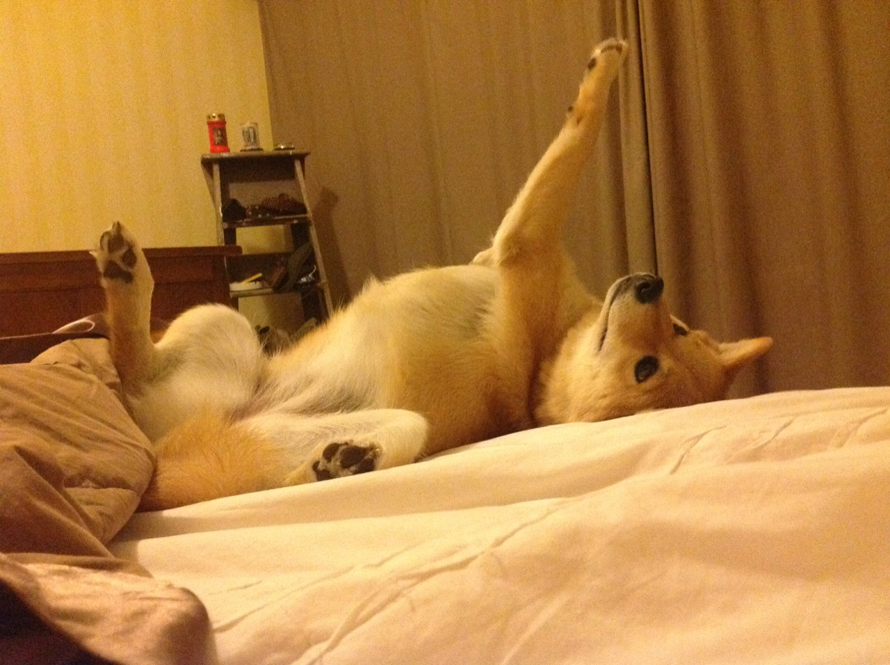 尼克斯铁血一波流,伦纳德证明舞台越大他越强