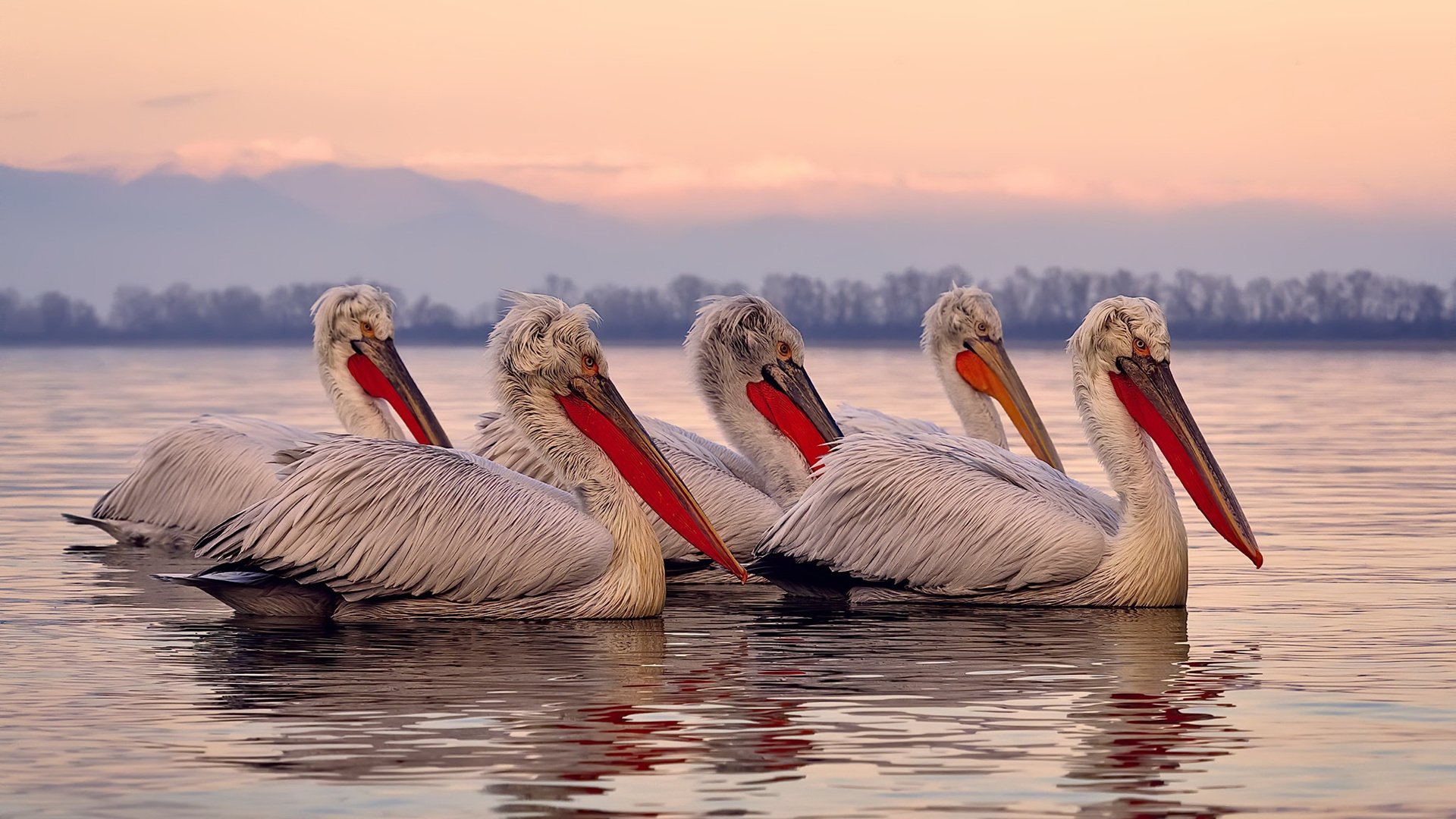 开云体育官网-欧冠淘汰赛之夜，卡塞米罗存在感拉满，中场壁垒铸就传奇