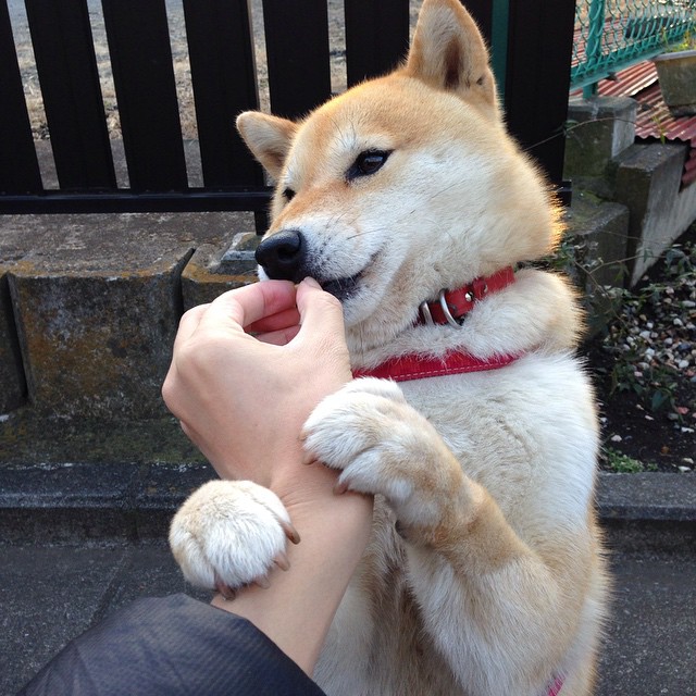 佩德里翩翩间瓦解钢铁洪流，马竞的血性与皇马的优雅之战