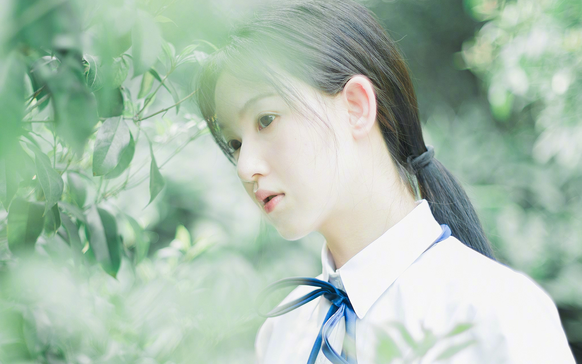 双城记，欧冠的冰与火，CBA的旭日与山峦