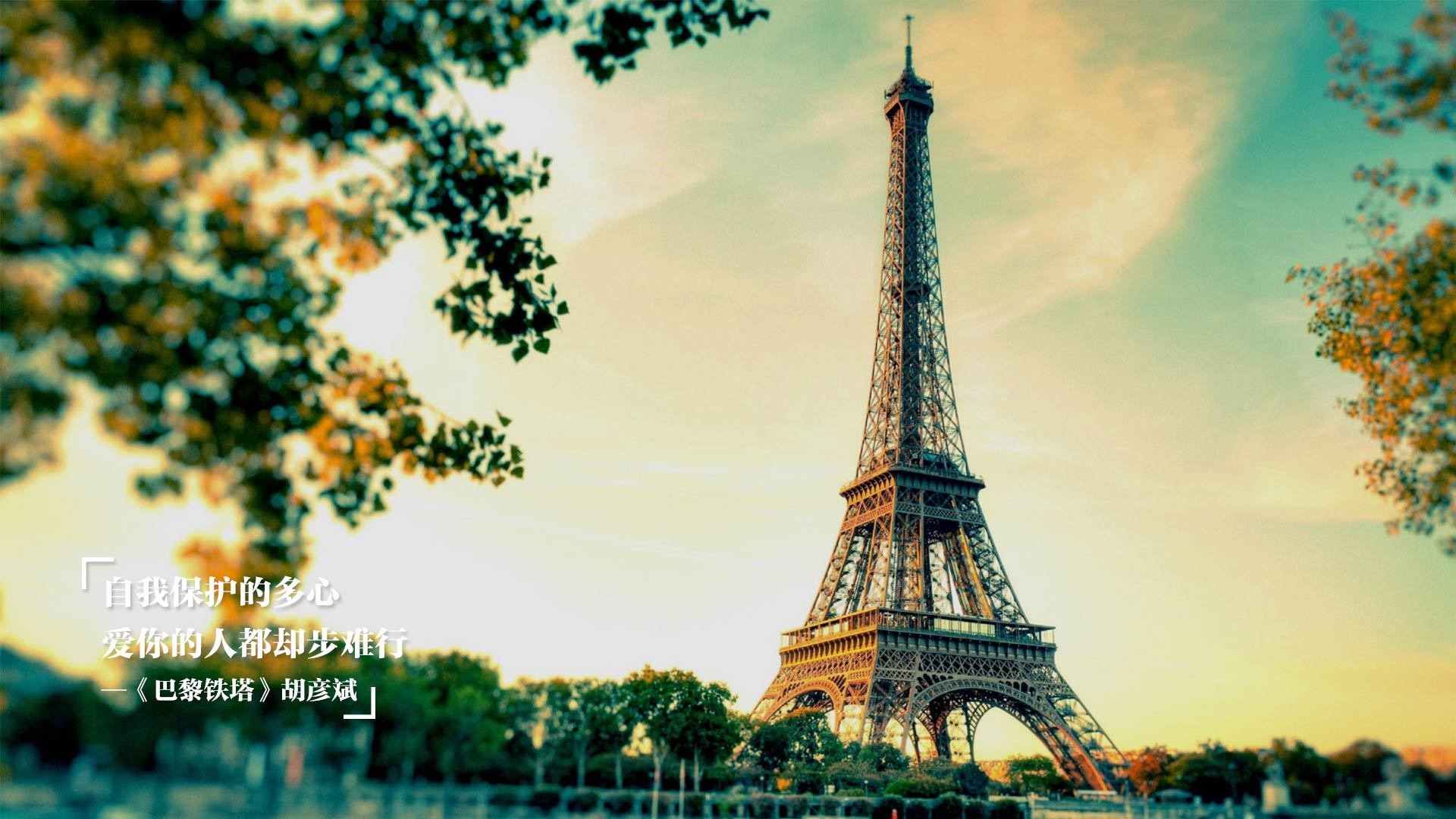 霍勒迪之光,2026世界杯之夜的传奇统治