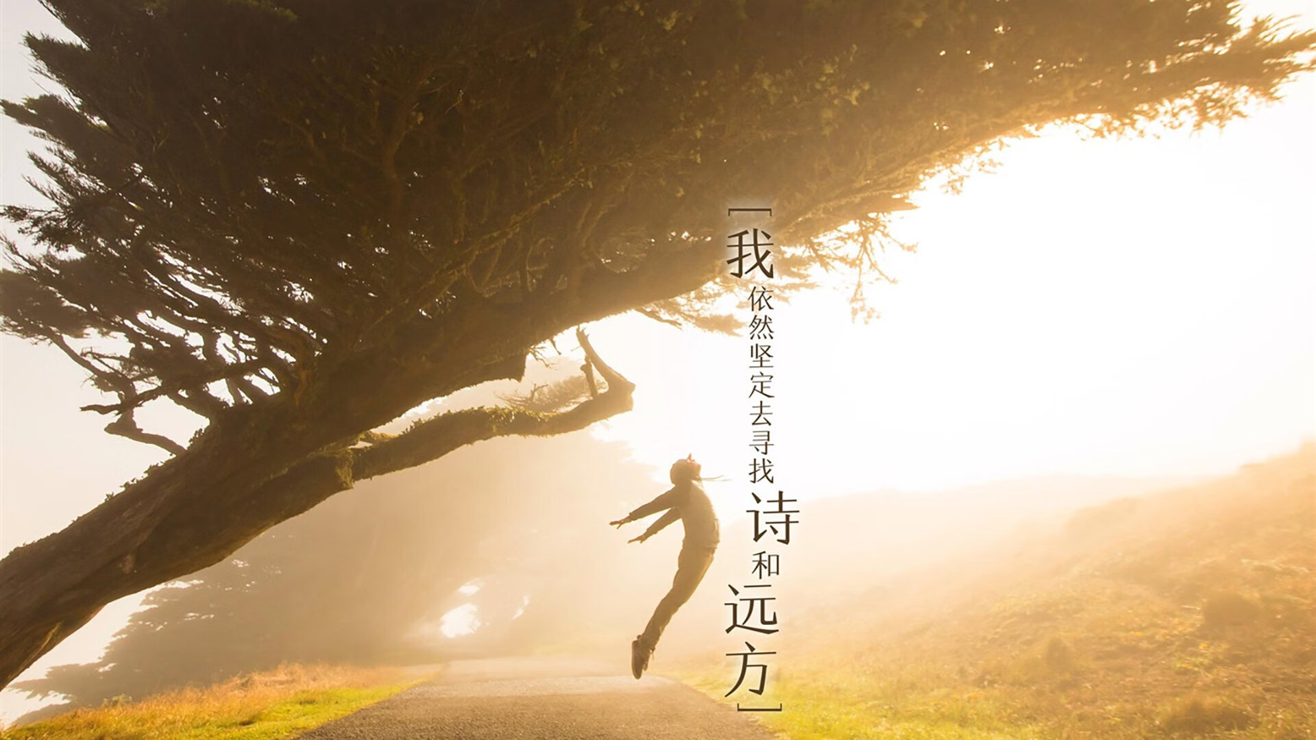 戈贝尔关键先生本色尽显，广厦队稳稳拿下掘金