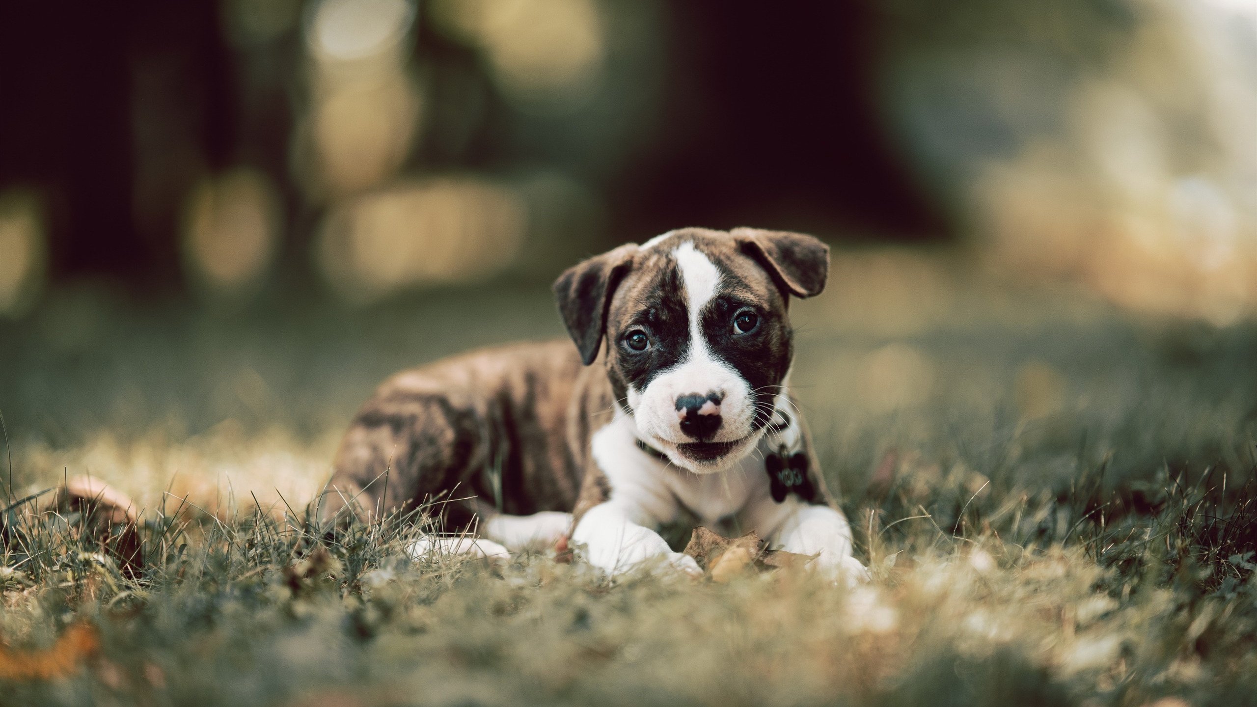 破局之战，从基多高原到非洲之角，一场足球如何搅动世界排名风云