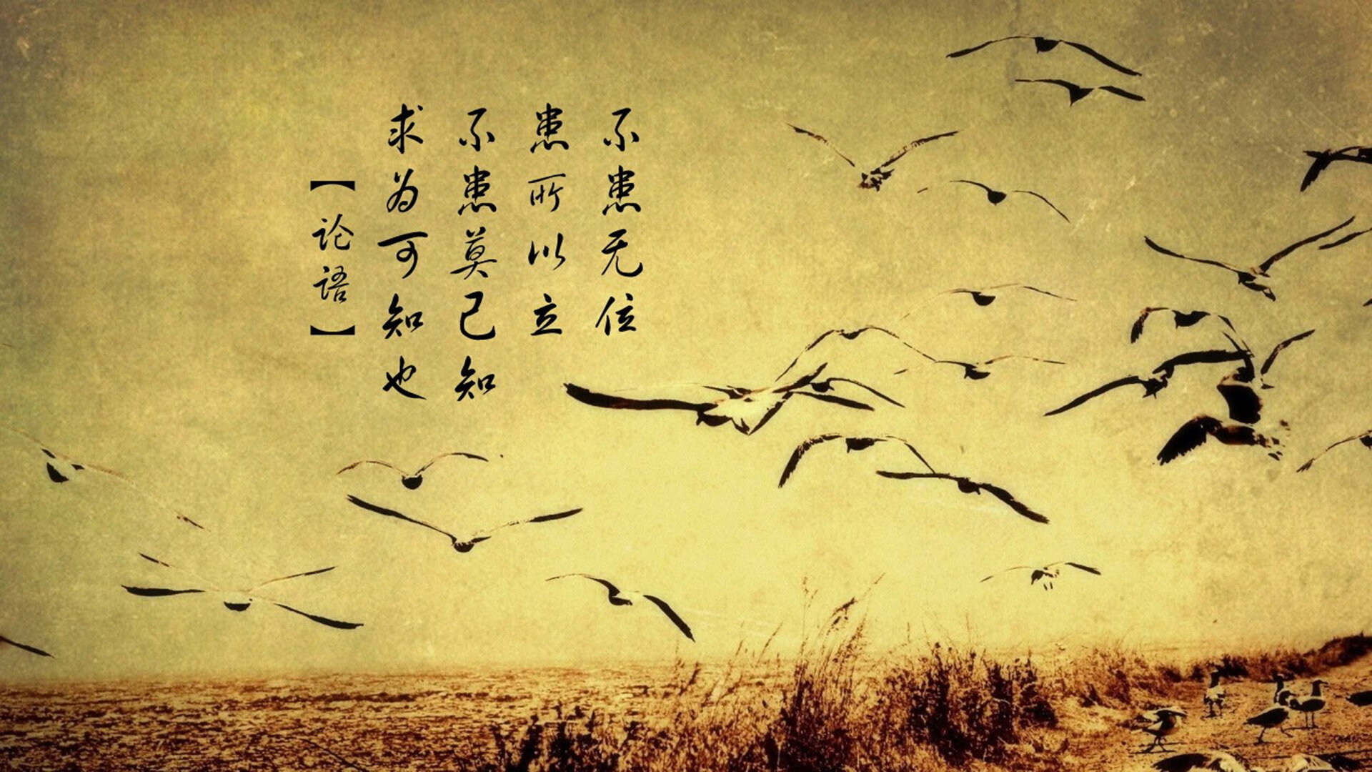开云体育登录-2026世界杯F组战报，苏牙绝杀助乌拉圭险胜西班牙，久保建英虽败犹荣