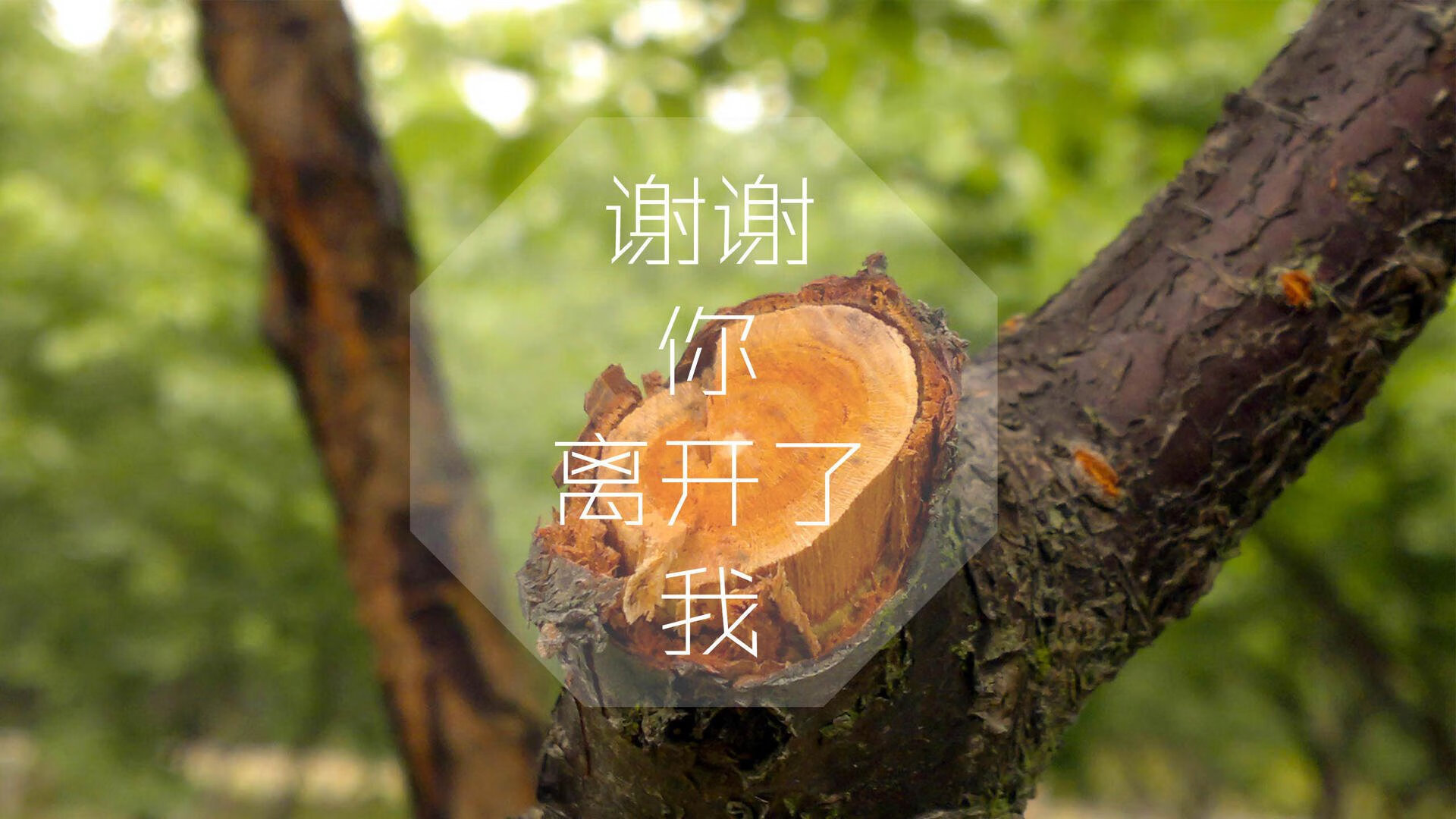 开云体育下载-绿茵奇迹，卡塔尔逆转巴西，巴雷拉闪耀2026世界杯A组强强对话