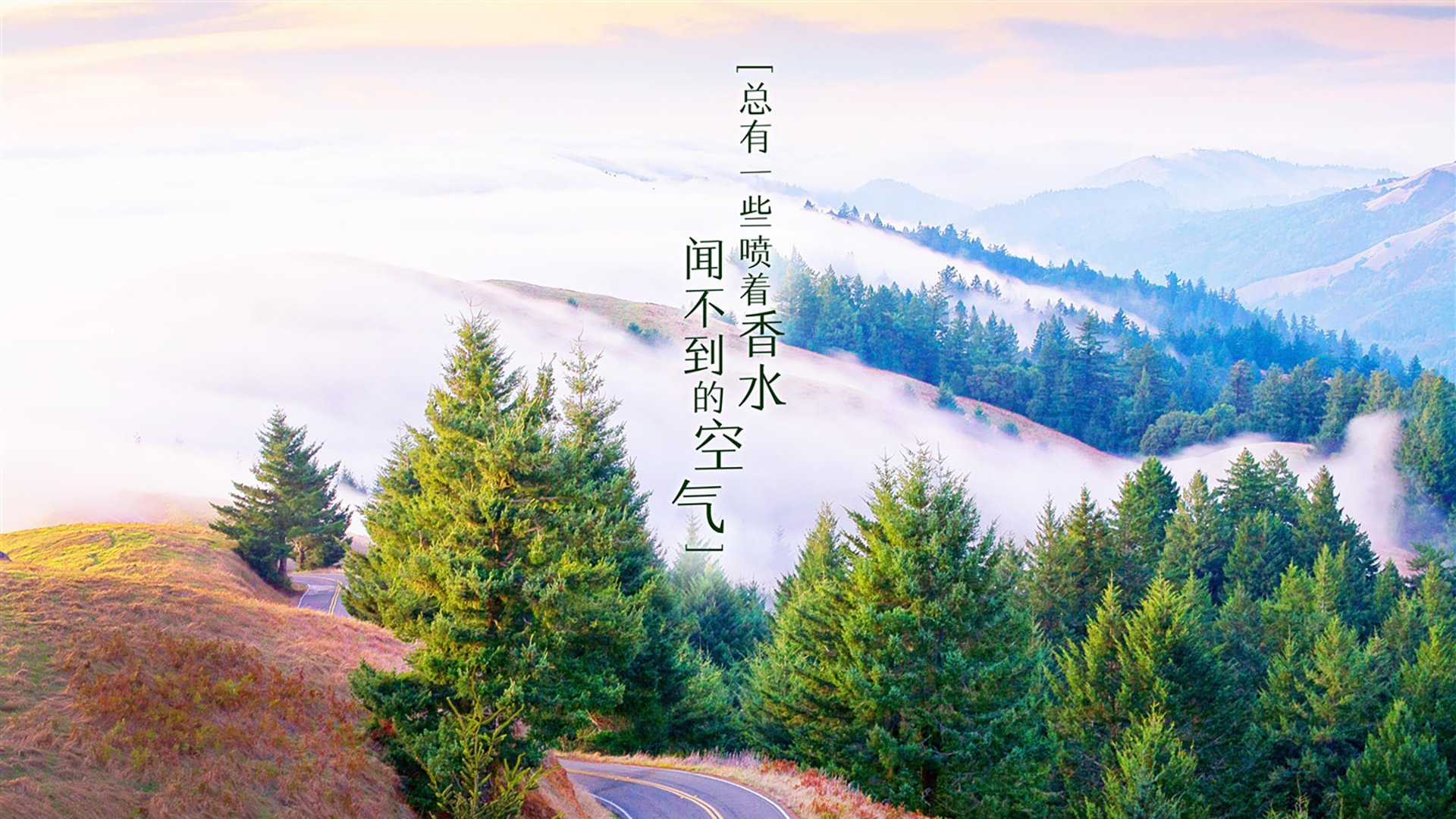 沙漠风暴,卡塔尔击溃克罗地亚,努涅斯书写世界杯新传奇