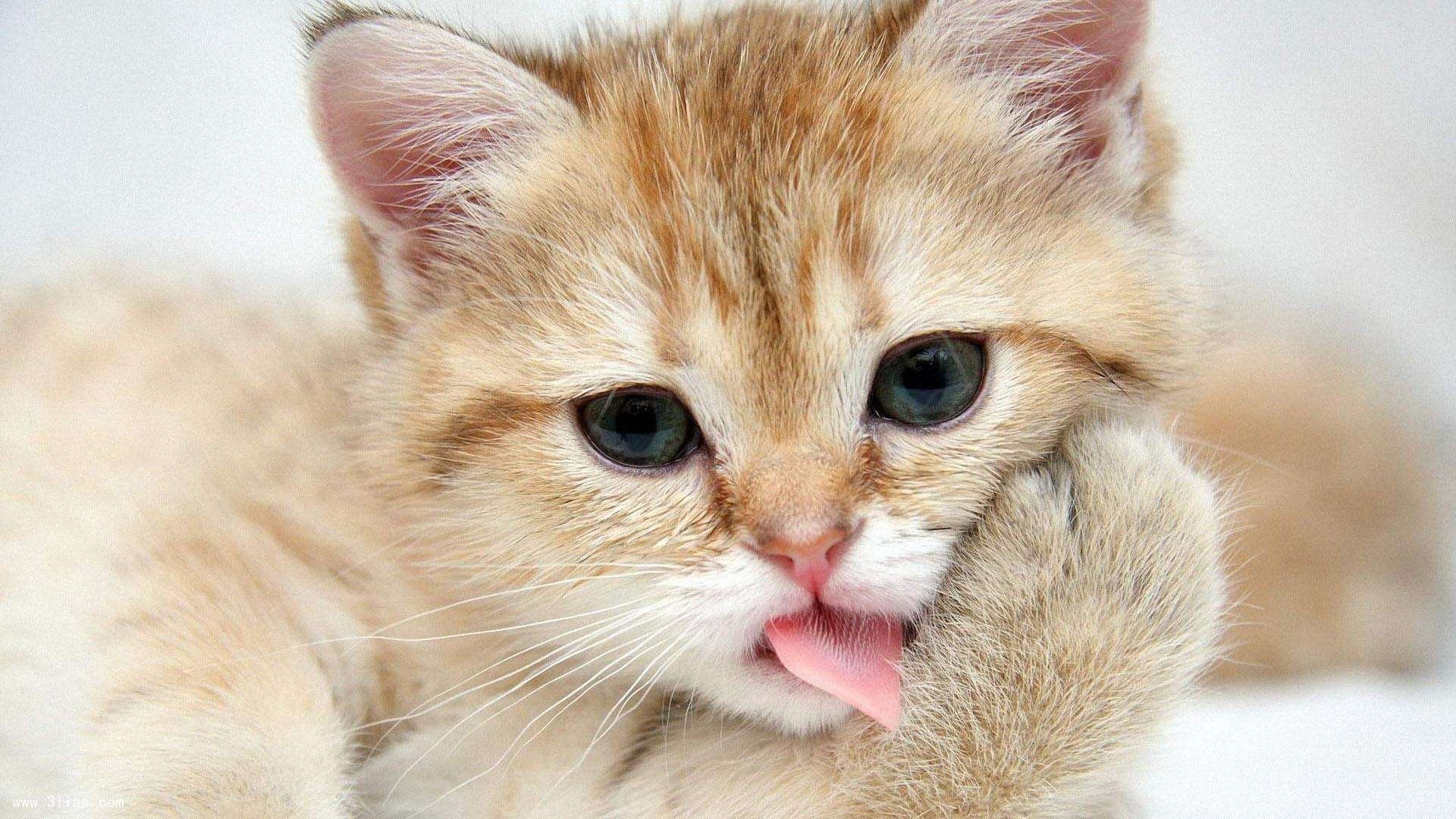 绝地反击！乌拉圭2-1逆转丹麦，格列兹曼补时献上致命一击